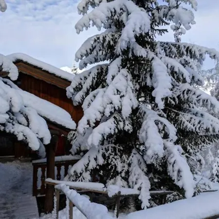 Privatif Pour 8 Personnes Aux Coches - Paradiski Chalet La Plagne