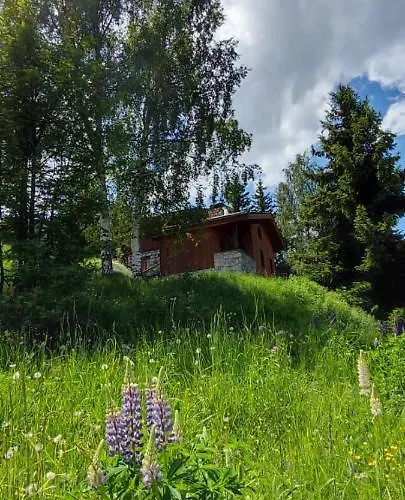 Privatif Pour 8 Personnes Aux Coches - Paradiski *